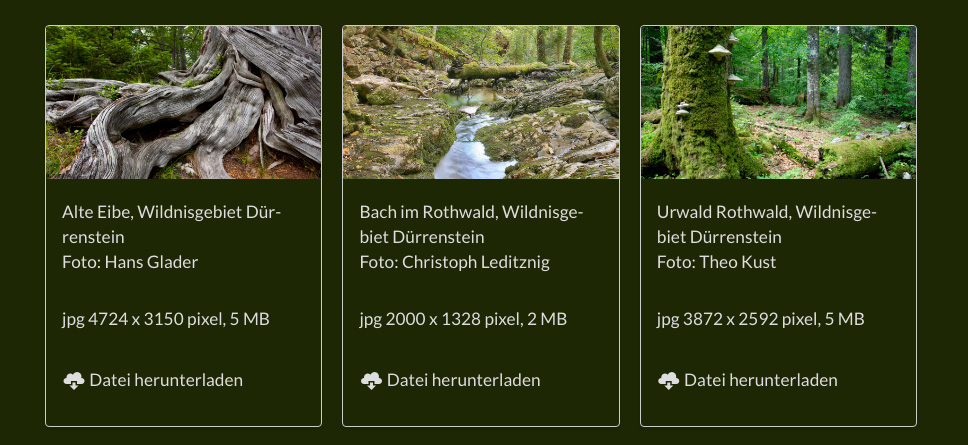 Pressebilder Downloads bei Wildnisgebiet Dürrenstein